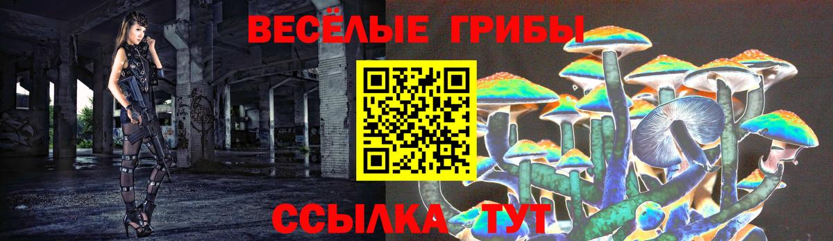 Красногорск  Псилоцибиновые грибы MAGIC MUSHROOMS  Вход с VPN 